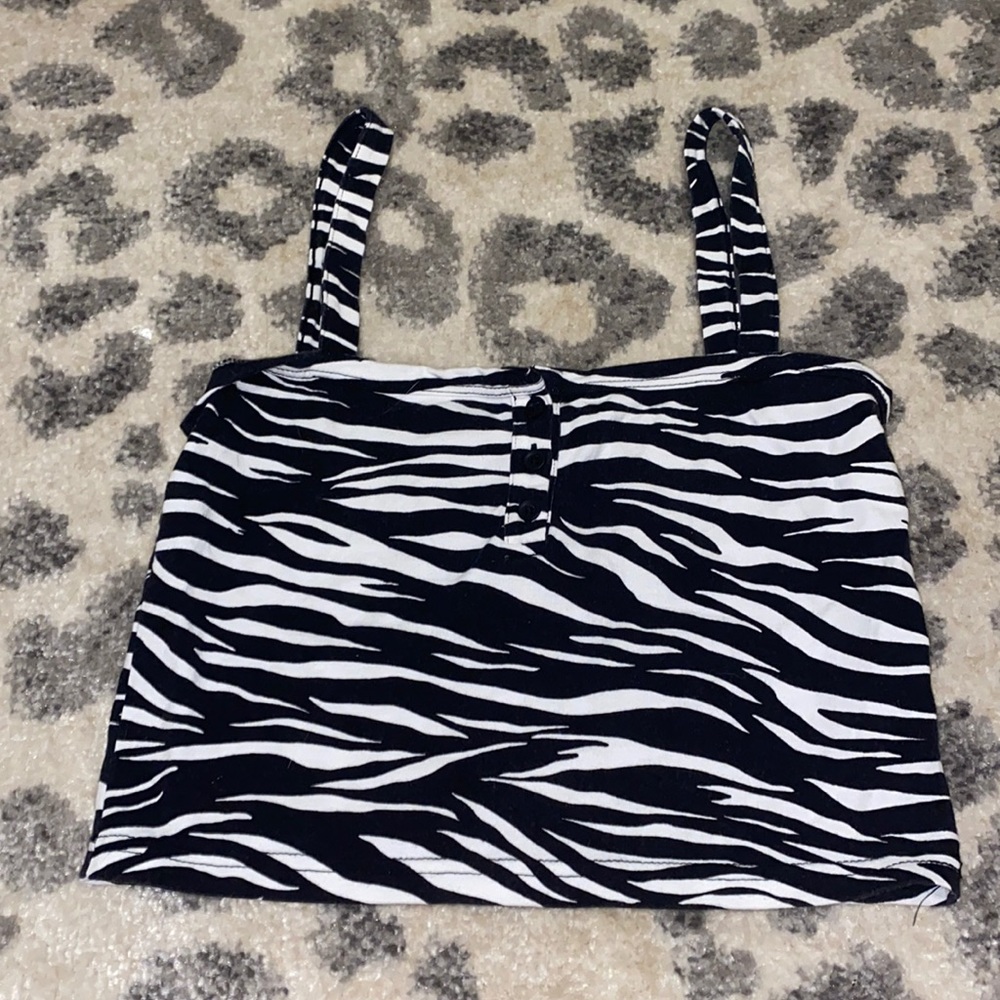 John Galt, Brandy Melville, Pacsun, Zebra Tank